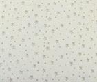 CIELO STELLATO feltro stardust  cm.25x30