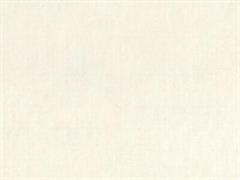 ECOFELT RICICL.TERMOFORMABILE col.41 LATTE cm.50x70 100%PL
