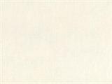 ECOFELT RICICL.TERMOFORMABILE col.41 LATTE cm.50x70 100%PL