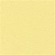 ECO PELLE NAPPA COL.053 CEDRO          cm.50x45