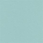 ECO PELLE NAPPA COL.054 CELESTE          cm.50x45