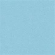 ECO PELLE NAPPA COL.061 CIELO          cm.50x45