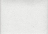 FOMMY GLITTER 60X40/2mm col.bianco