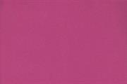 FOMMY 60x40/2mm.col.fucsia pack.10 sh.