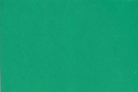 FOMMY 60x40/2mm.col.bright green cf.10 sh.