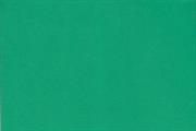 FOMMY 60x40/2mm.col.bright green cf.10 sh.