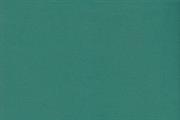 FOMMY 60x40/2mm.col.dark green pack.10 sheets