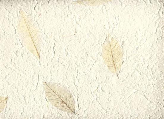 CARTA INS.VEGET.55X80 SB53 FOGLIE CHIARE