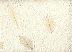 CARTA INS.VEGET.55X80 SB53 FOGLIE CHIARE