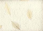 CARTA INS.VEGET.55X80 SB53 FOGLIE CHIARE