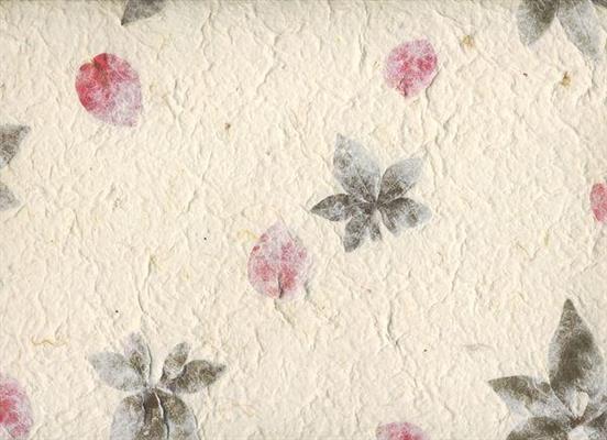 CARTA INSERTI FLOREALI  A00        55X80