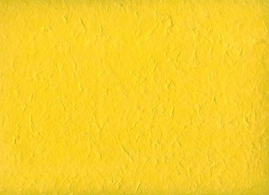 CARTA DI GELSO COL.55 GIALLO cm.65X90