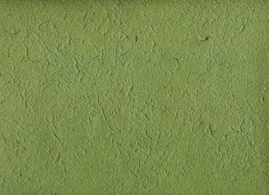 CARTA DI GELSO COL.66 VERDE MUSCHIO cm.65X90