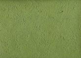 CARTA DI GELSO COL.66 VERDE MUSCHIO cm.65X90