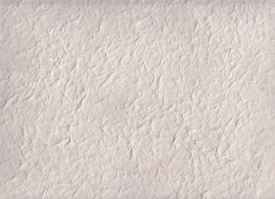 CARTA DI GELSO COL.80 grigio ch. cm.65x90