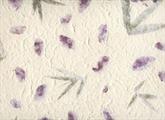 CARTA INSERTI FLOREALI  A26       55X80