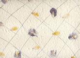 CARTA INSERTI FLOREALI  A031      55X80