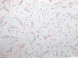 CARTA INSERTI FLOREALI SG15 tamarindo fuxia 55x80