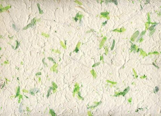 PAPER FLORAL INSERTS.P. SG 16 55X80