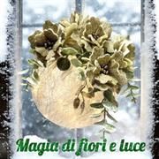 MAGIC OF FLOWERS AND LIGHT DIY KIT