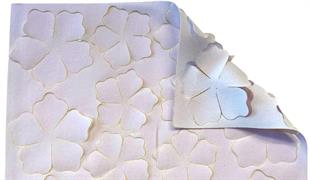 ROSA PRIMETTE col. glicine/bianco  cm.25x30