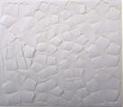 ROSA PRIMETTE col. glicine/bianco  cm.25x30