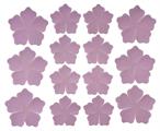 ROSA PRIMETTE col. lilla/latte  cm.25x30