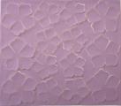 ROSA PRIMETTE col. lilla/latte  cm.25x30