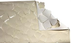 ROSA PRIMETTE col. beige/latte  cm.25x30