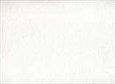 CARTA SILK GR.25 COL.00 BIANCO cm.65x95