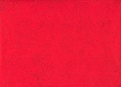 CARTA SILK GR.25 COL.20 ROSSO cm.65X95