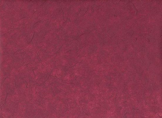 CARTA SILK GR.25 COL.25 BORDEAUX cm.63X93