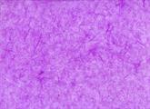 PAPER SILK GR.25 COL.30 cm.63X93