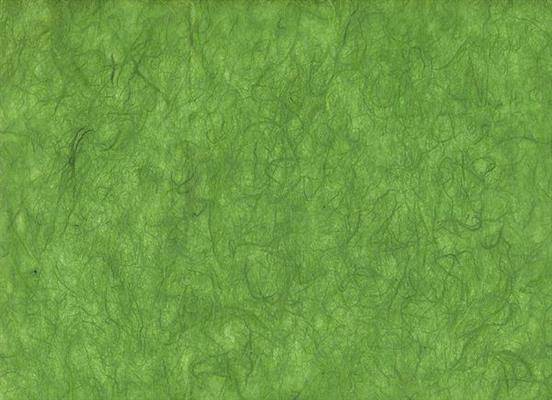 CARTA SILK GR.25 COL.66 MUSCHIO cm.65X95