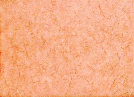 CARTA SILK GR.25 COL.71 SABBIA  cm.65X95