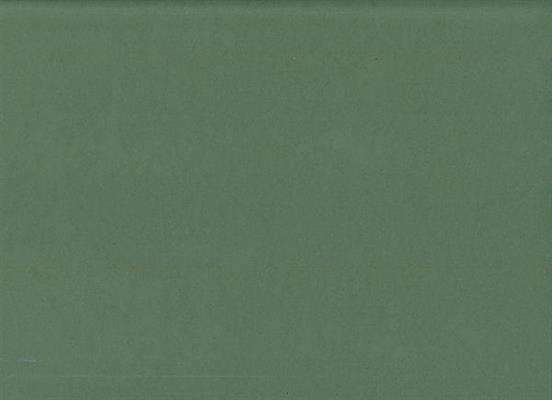 FOMMY 60X40/2 mm.col.bordeaux pack.10 sh.