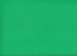 FOMMY seta 60x40/0,7mm. col.verde prato