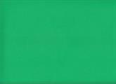 FOMMY seta 60x40/0,7mm. col.verde prato
