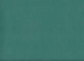 FOMMY seta 60x40/0,7mm. col.verde scuro